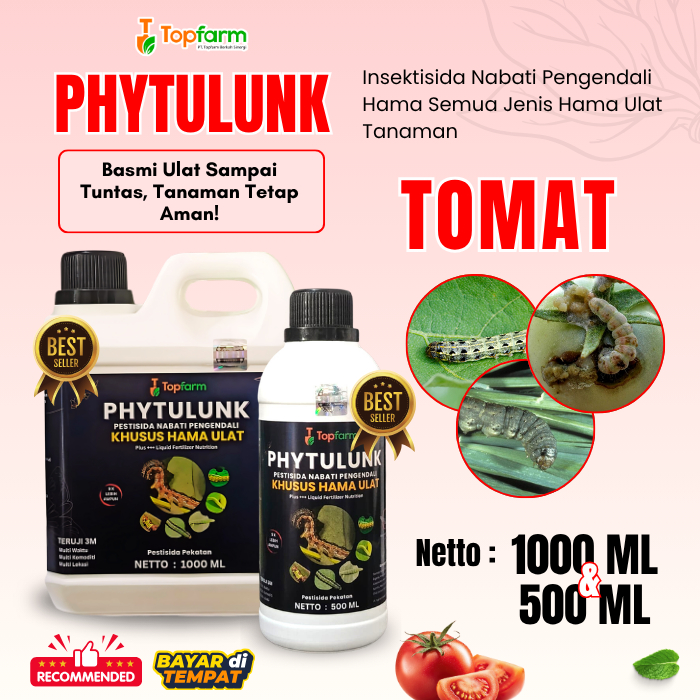 Insektisida Ulat Tomat / Obat Hama Ulat Tomat / Obat Ulat Topfarm / Obat Hama Buah Tomat