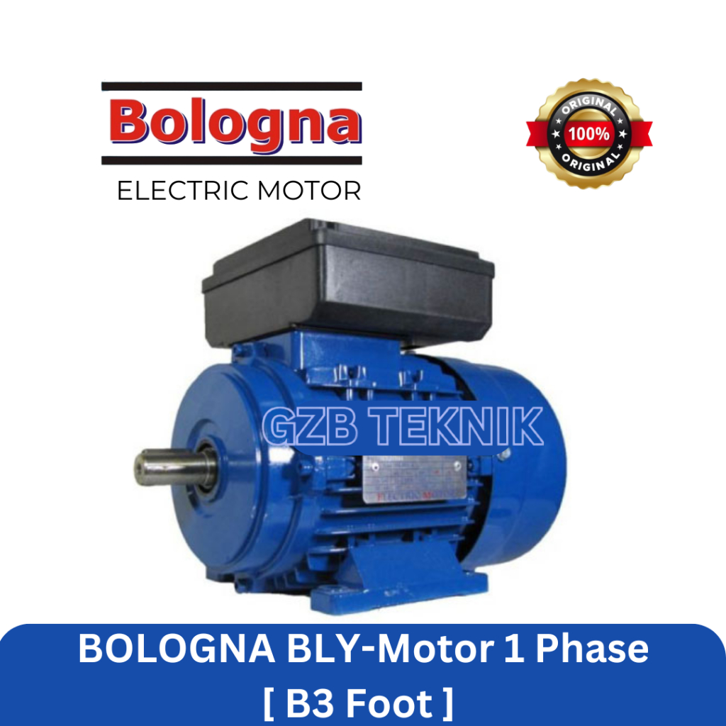 Bologna 5.5 kW / 7.5 HP 1 Phase Dinamo / Elektro Motor B3 Foot