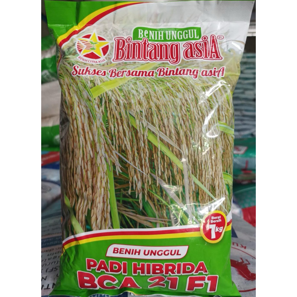 Benih PADi Hibrida BCA 21 F1 1kg BINTANG ASIA