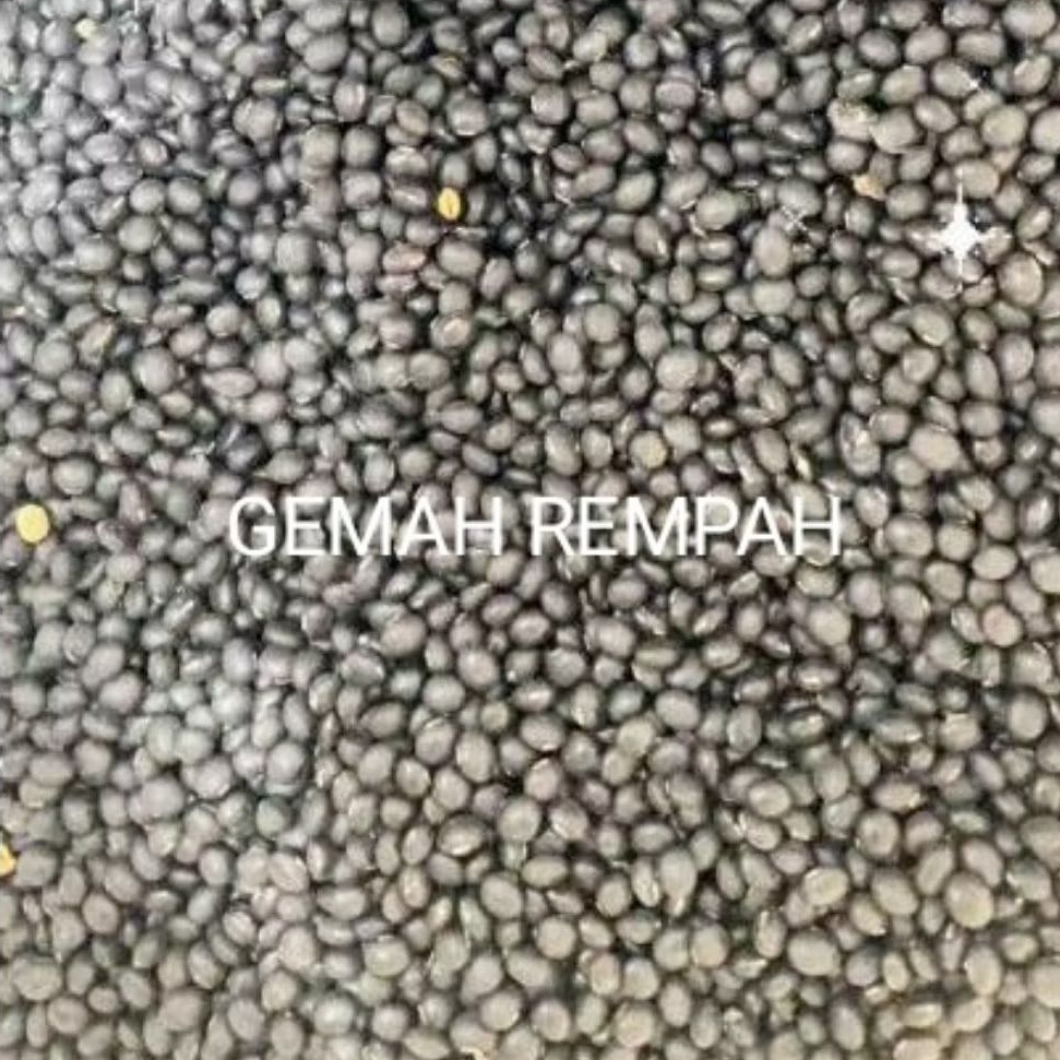 Kedelai Hitam Pilihan Berkualitas / Kedelai Hitam Super / Kedelai Hitam 1 kg / Kedelai Hitam 500 g