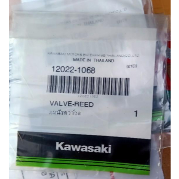 Lidah Membran KX 85 Ninja 150 R RR