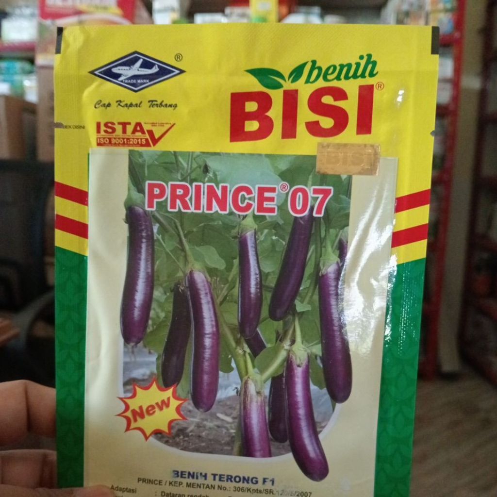 Benih Terong Prince 07