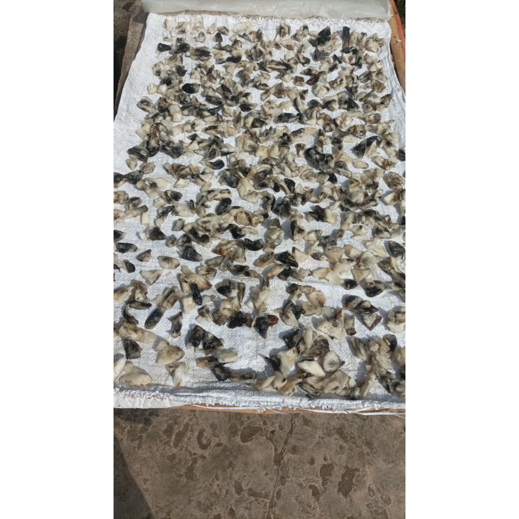 Gatot gaplek singkong 1000gr