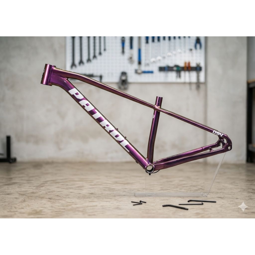 Frame PATROL 094 size S 29ers (repaint)