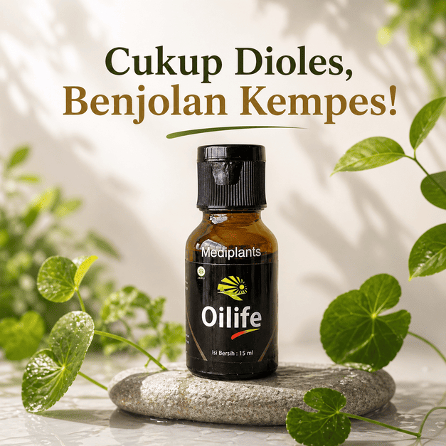 OILIFE Obat Herbal Benjolan Lipoma