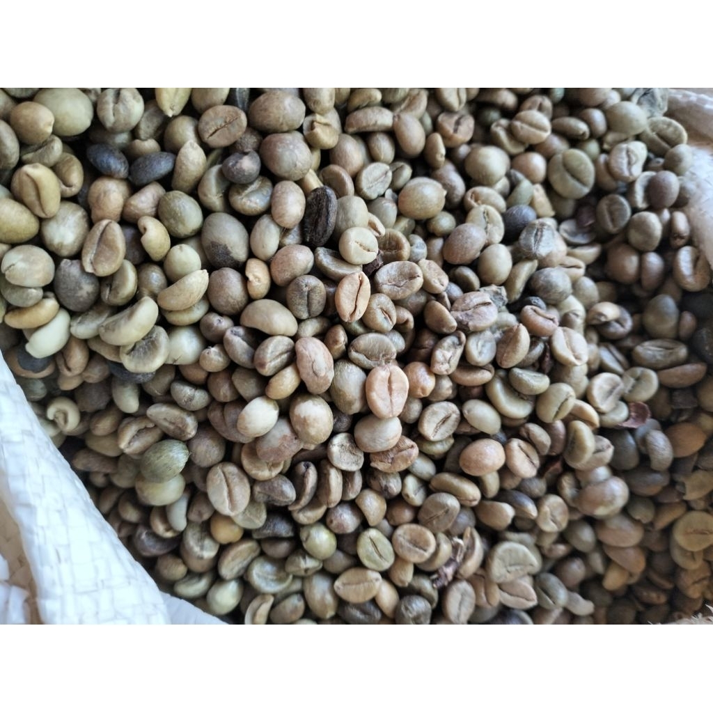kopi robusta lereng gunung Lawu