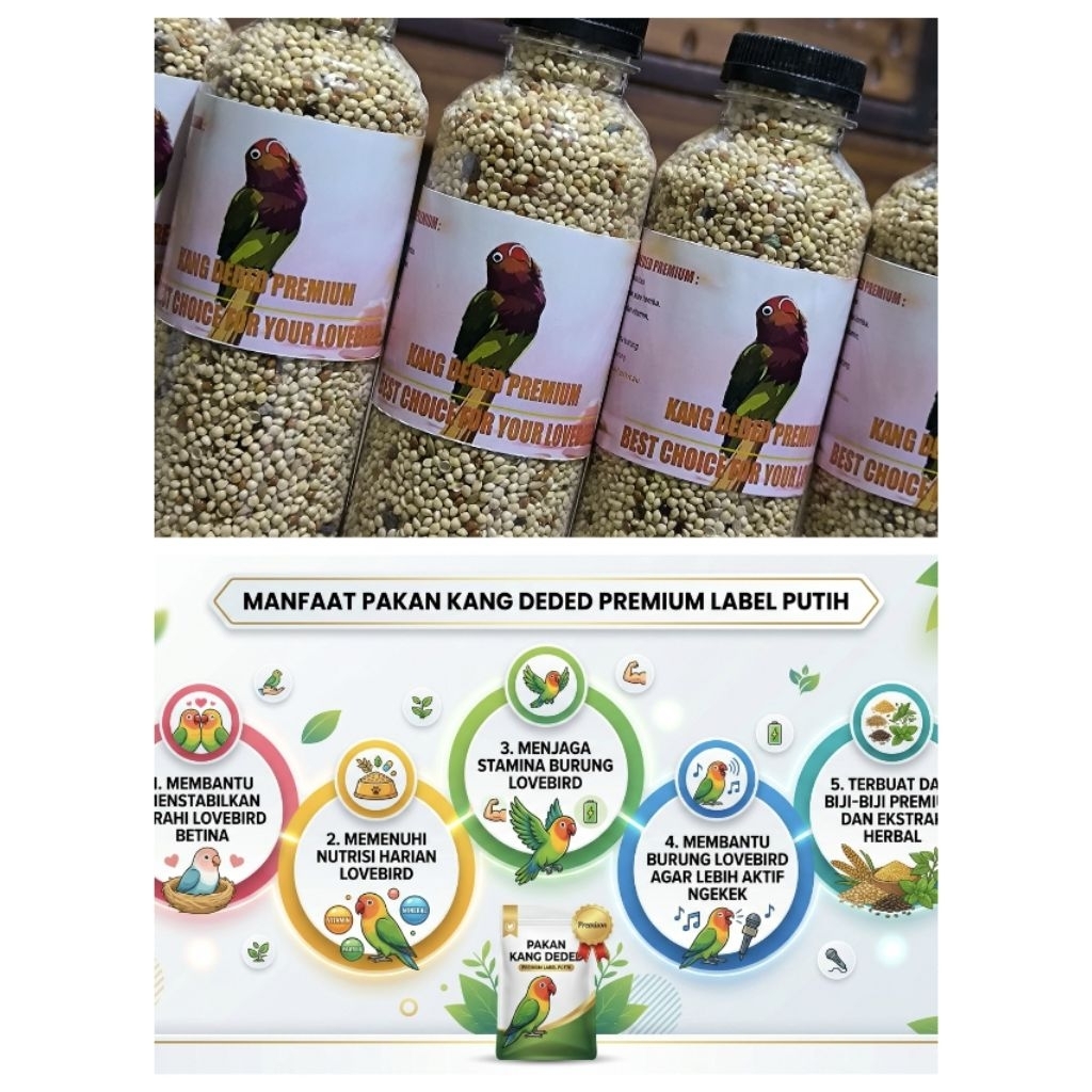 Pakan Lovebird kang Deded premium penurun Over birahi/menstabilkan birahi Betina Figther dewasa ngek