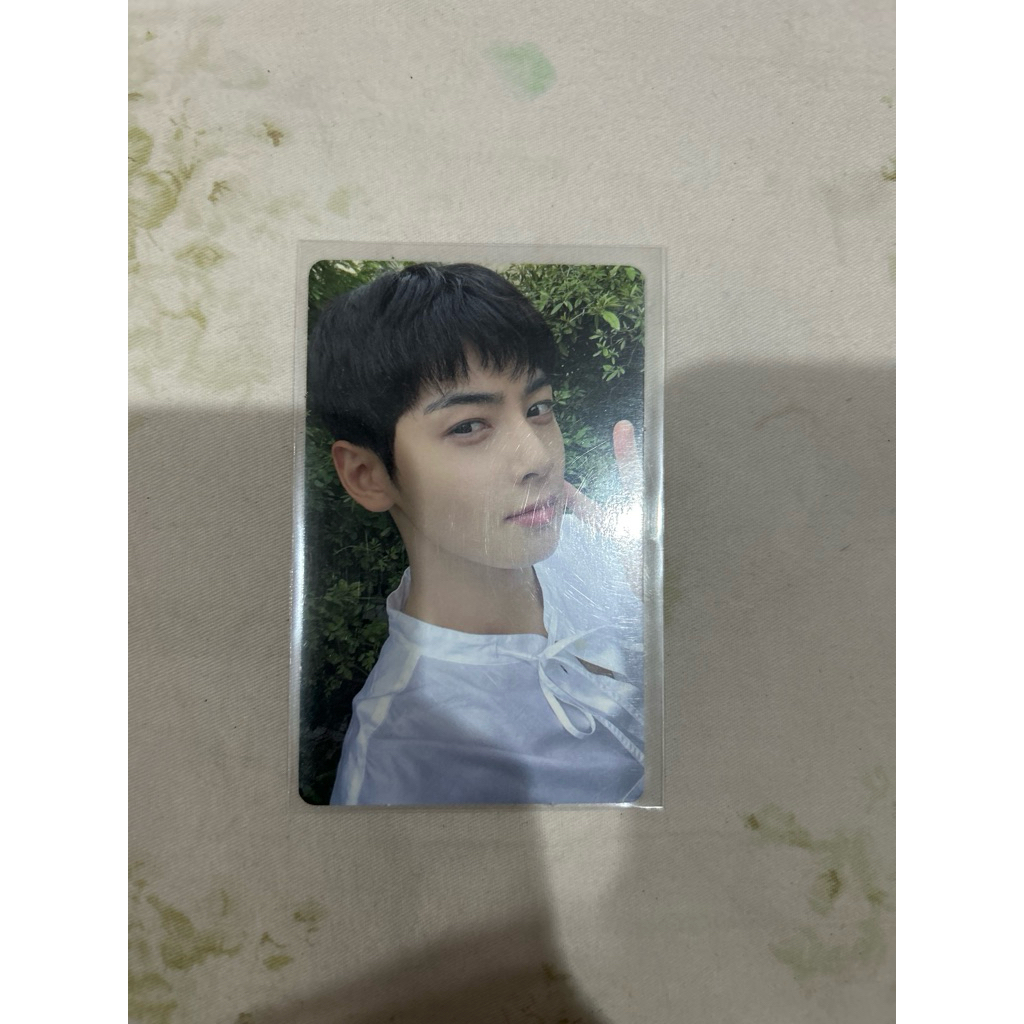 cha eun woo official photocard astro 2022 season greeting