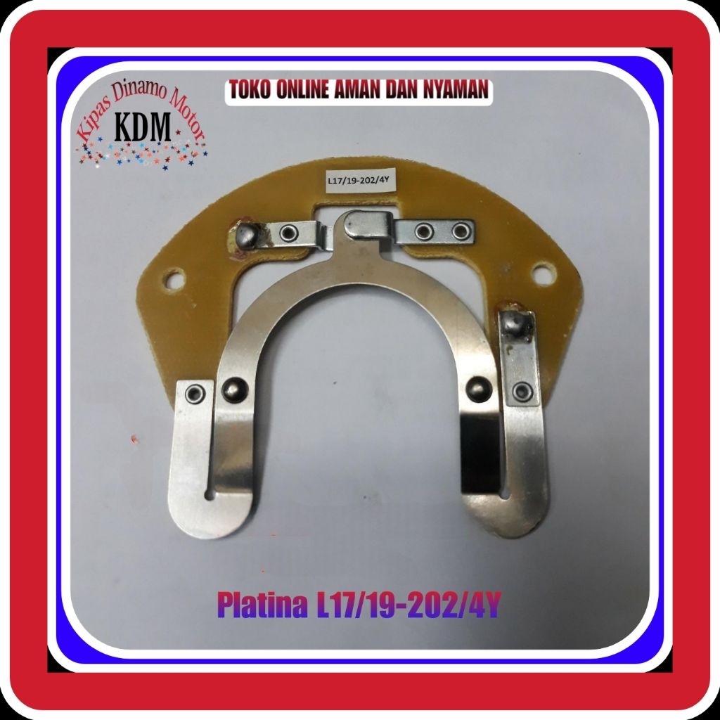 Platina L17/19-202/4Y Platinum Electro Motor-Platinum Dinamo Motor 1Phase 220V