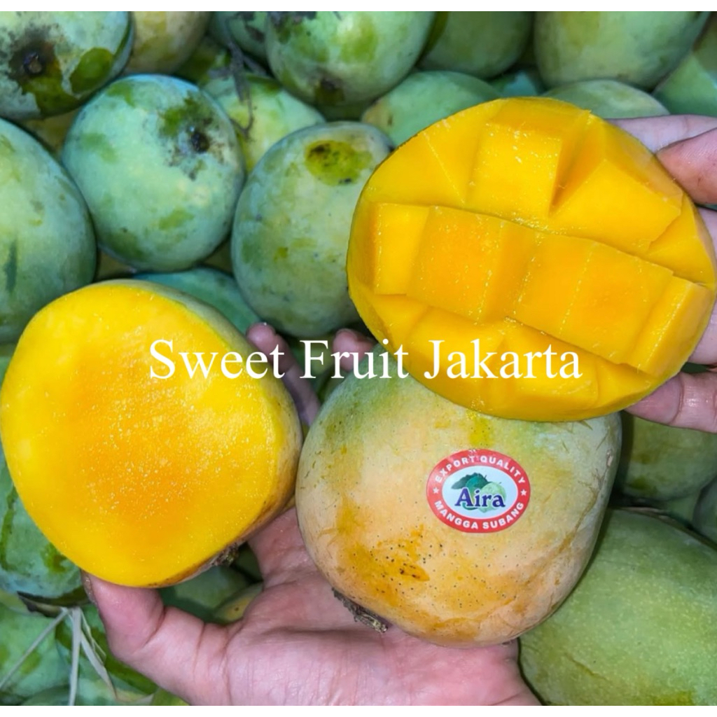 Mangga Gincu Super Fresh 1kg / Mangga Gincu Beraroma Wangi