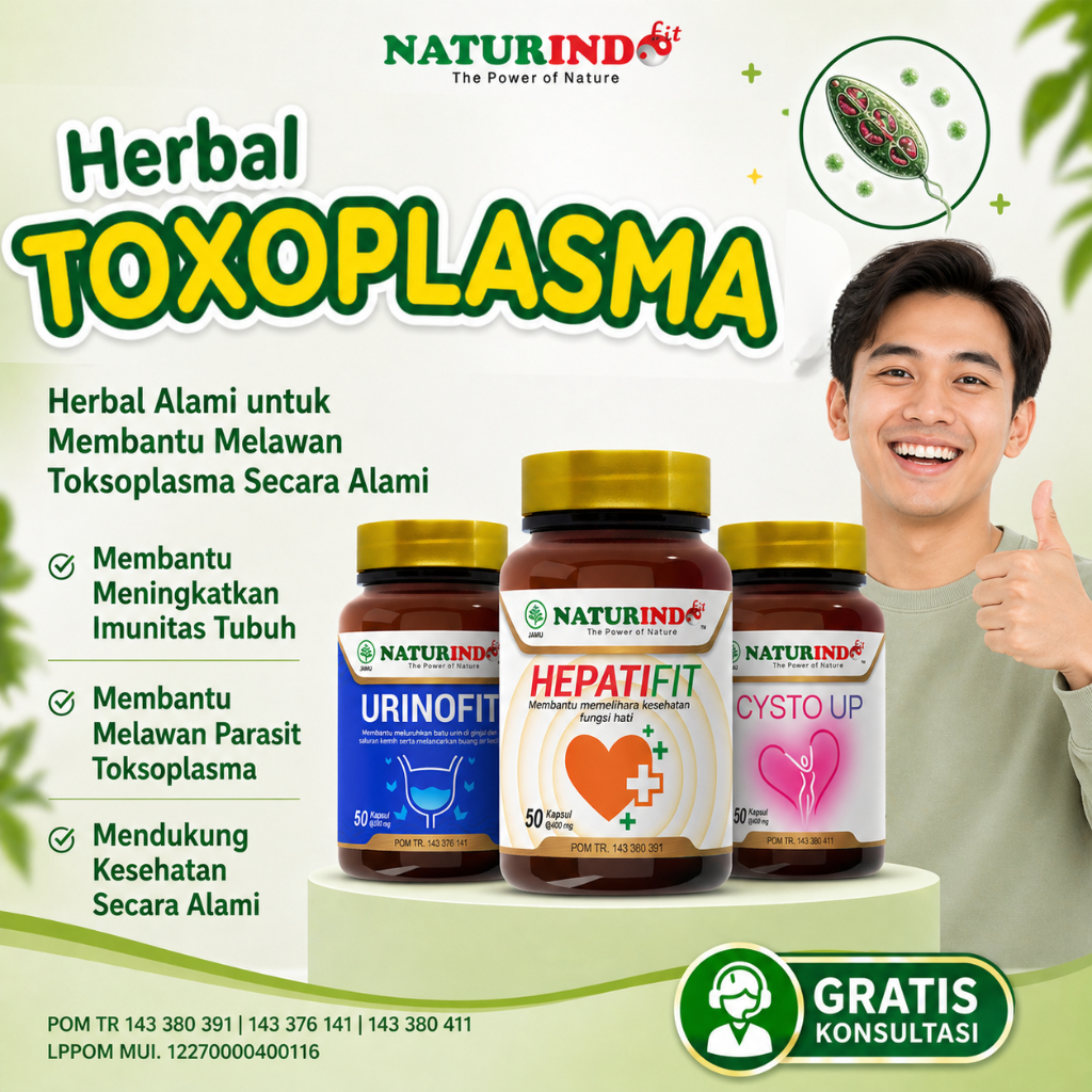 Obat Toxoplasma Paling Ampuh Mengatasi Virus Toxo Parasit