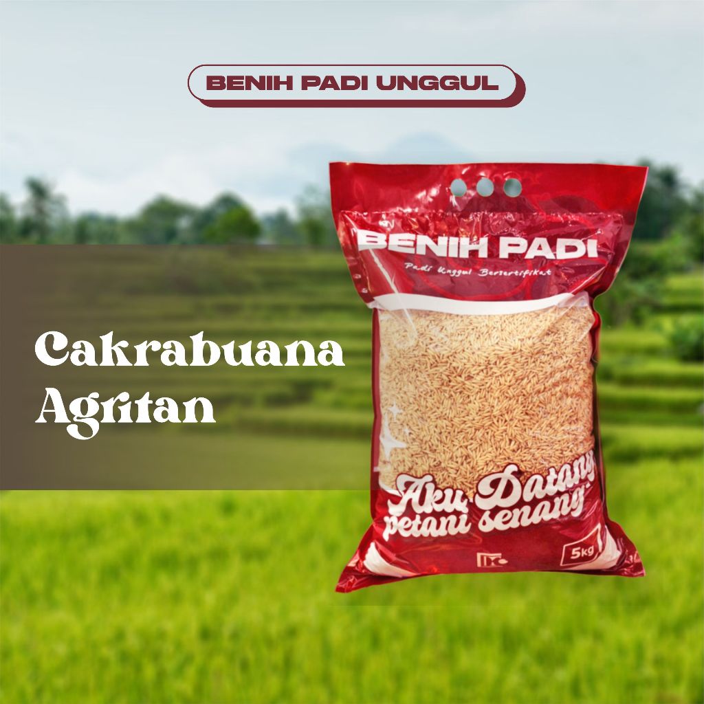 Benih padi Unggul varietas ⁠Cakrabuana Agritan -  Bersertifikat dan label - kemasan 5kg