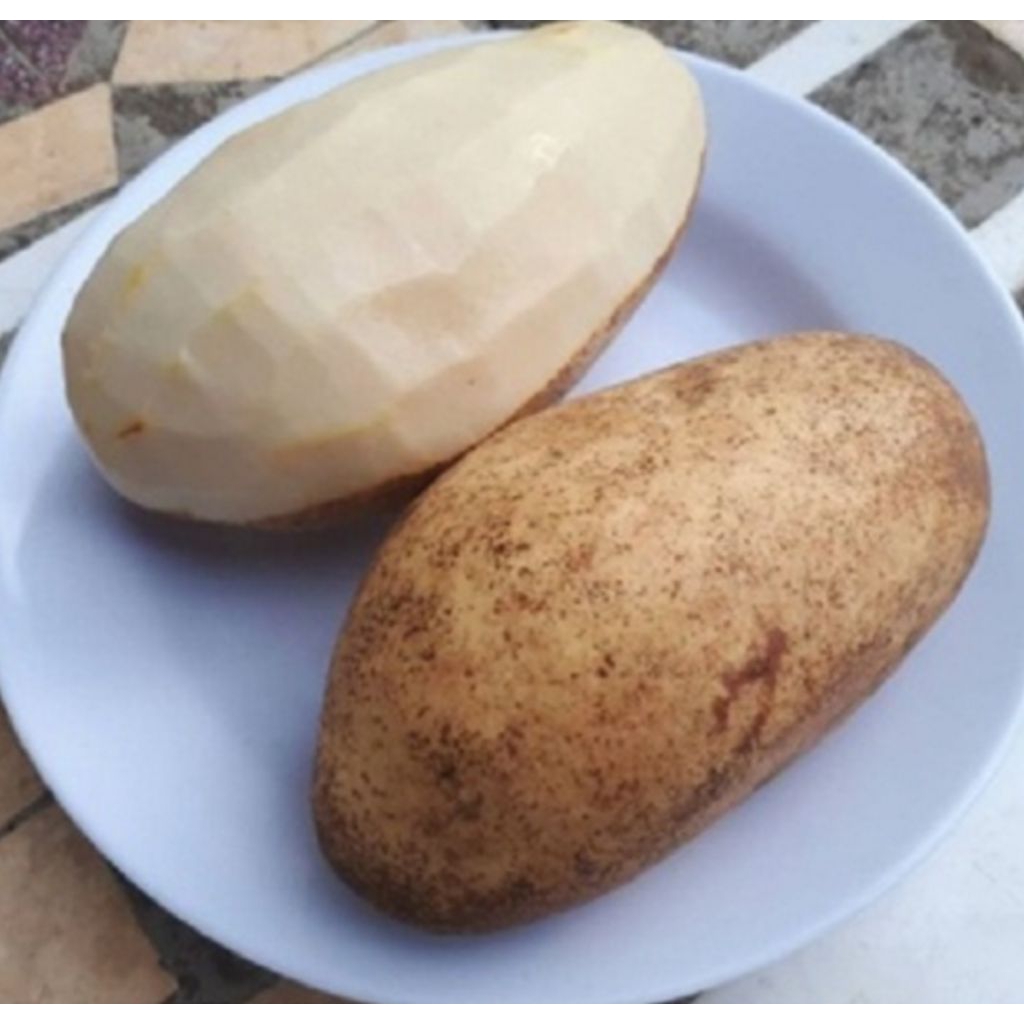 Buah kemang/buah Binglu