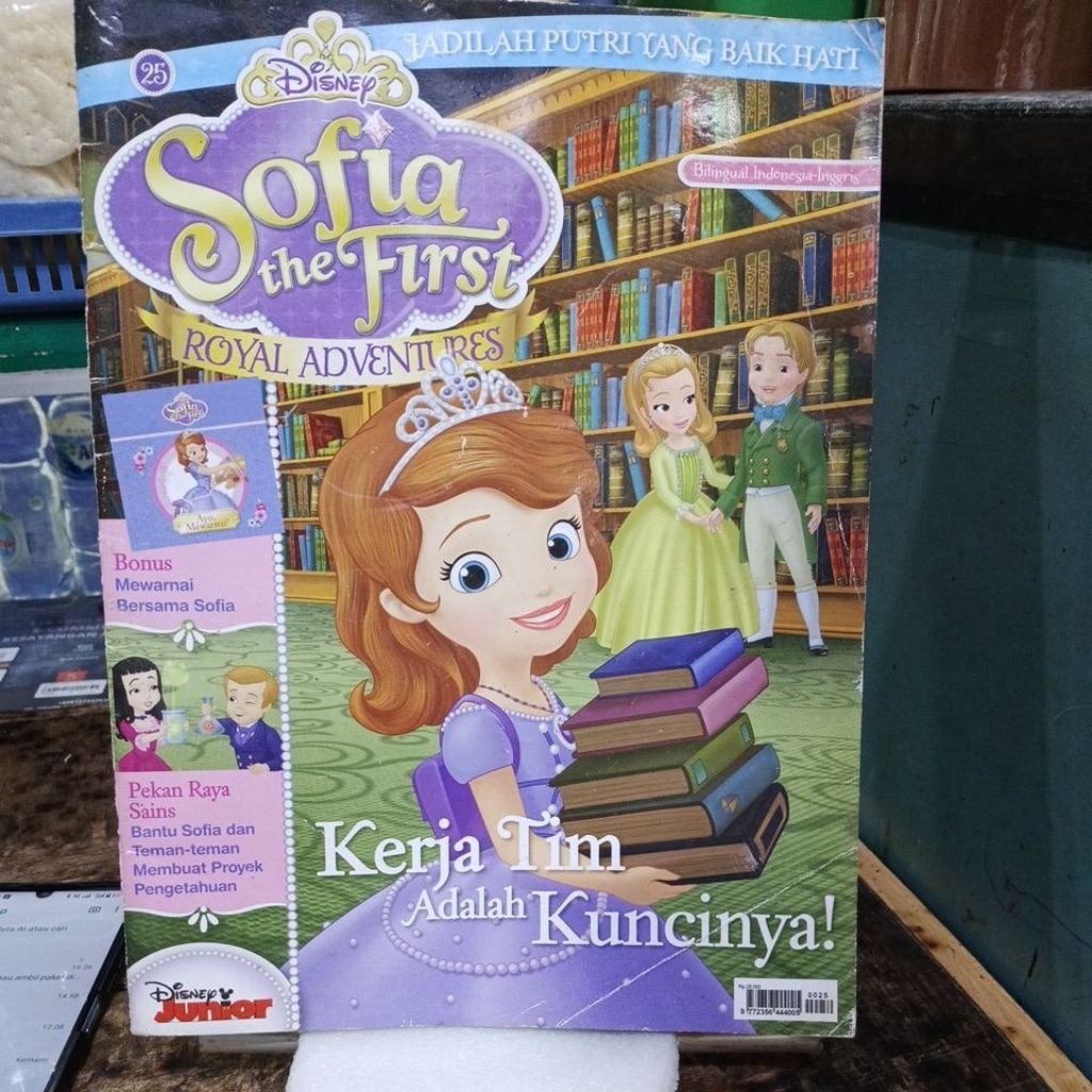 Buku Cerita Anak Sofia The First