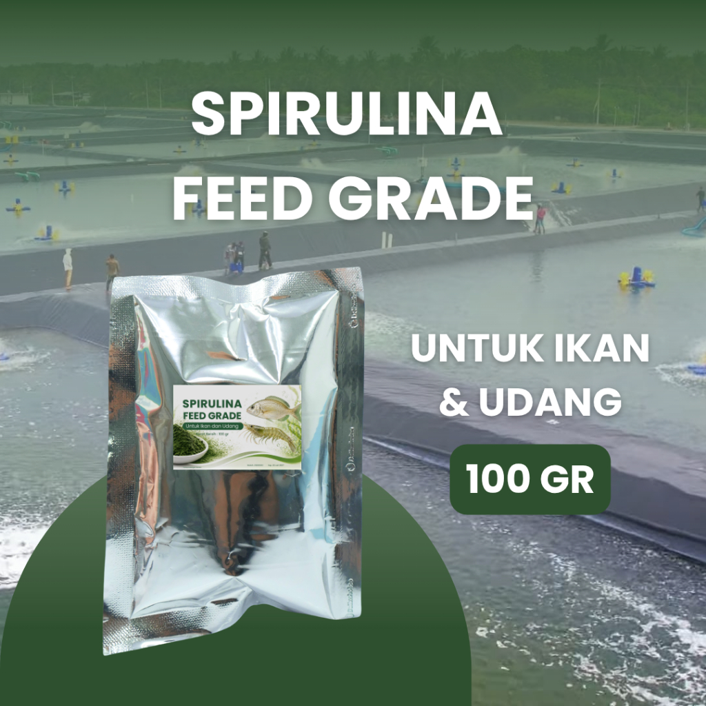 Spirulina Powder Pakan Udang Vaname Spirulina Bubuk 100gr