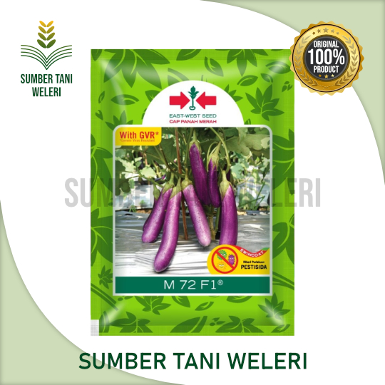 BENIH TERONG UNGU M72 F1 - BENIH TERONG HIBRIDA (F1) - 400 BUTIR - EAST WEST SEED CAP PANAH MERAH