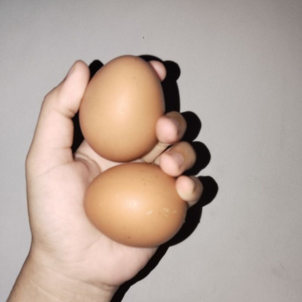 TELUR AYAM KAMPUNG 1KG