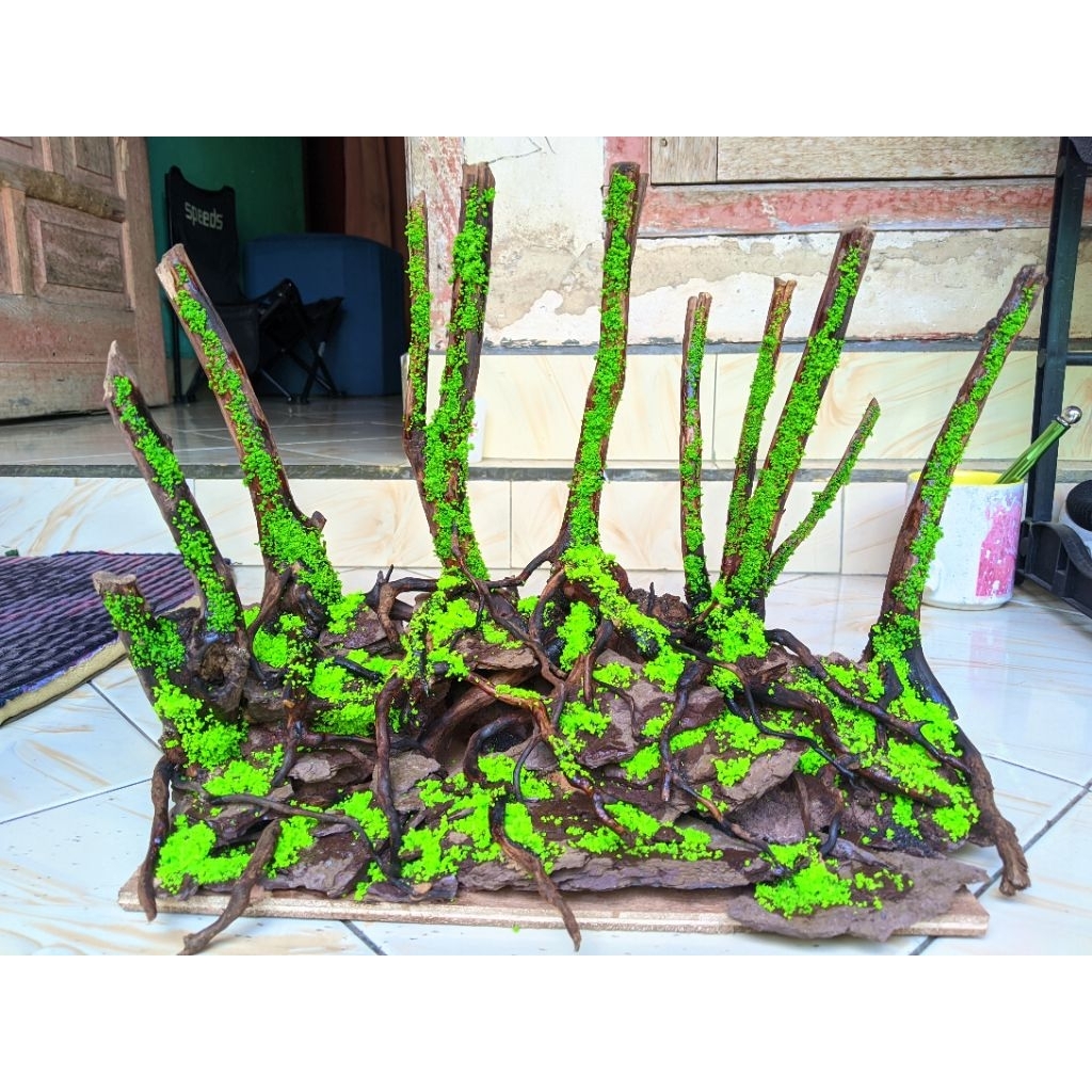 Harscape jungle style, Aquascape