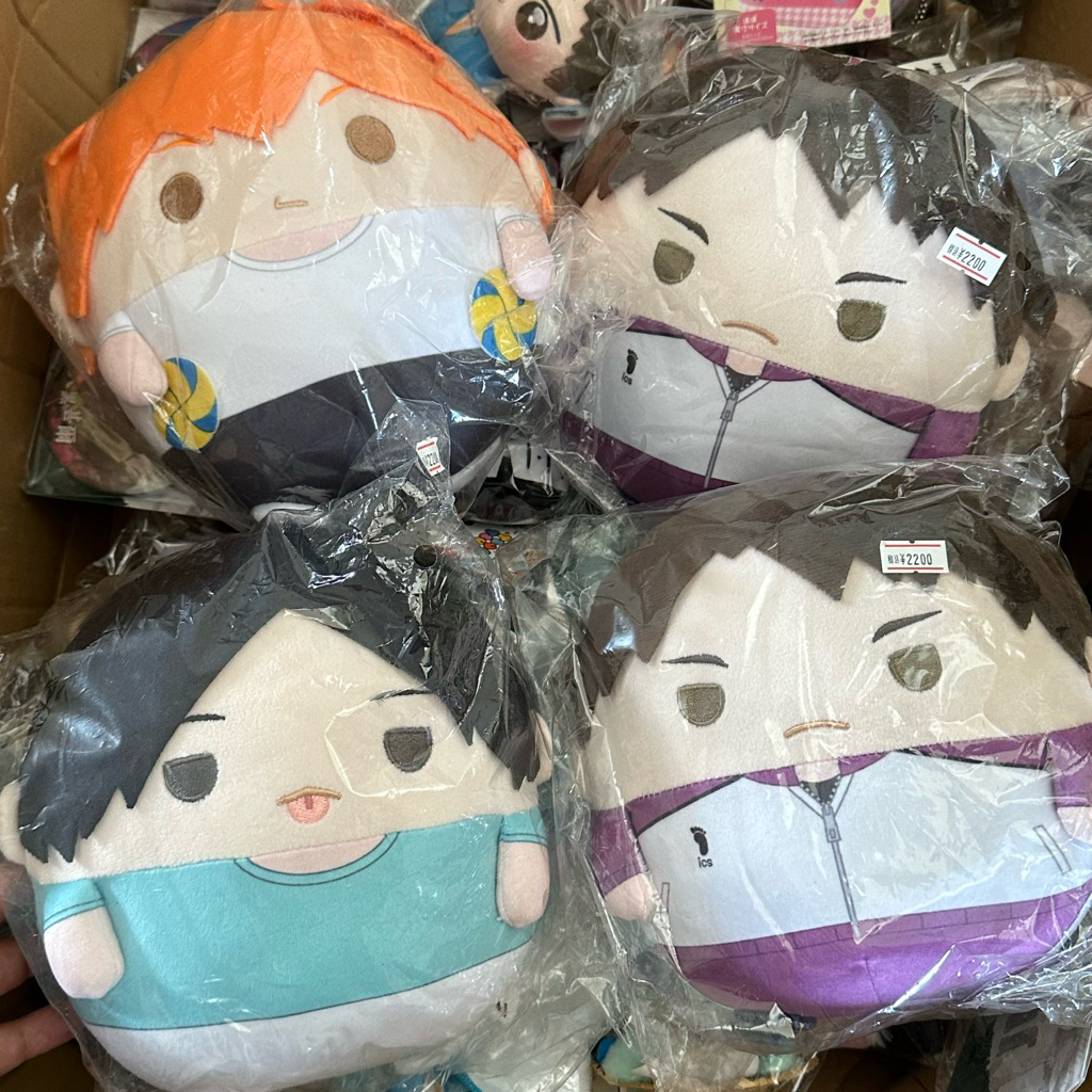 Haikyuu Fuwakororin Size M Assorted