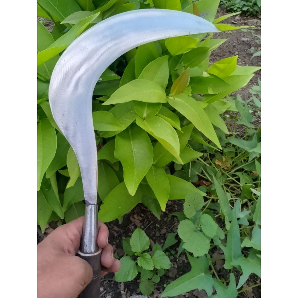 sabit bintang lima,sabit baja putih sabit tajam sabit rumput