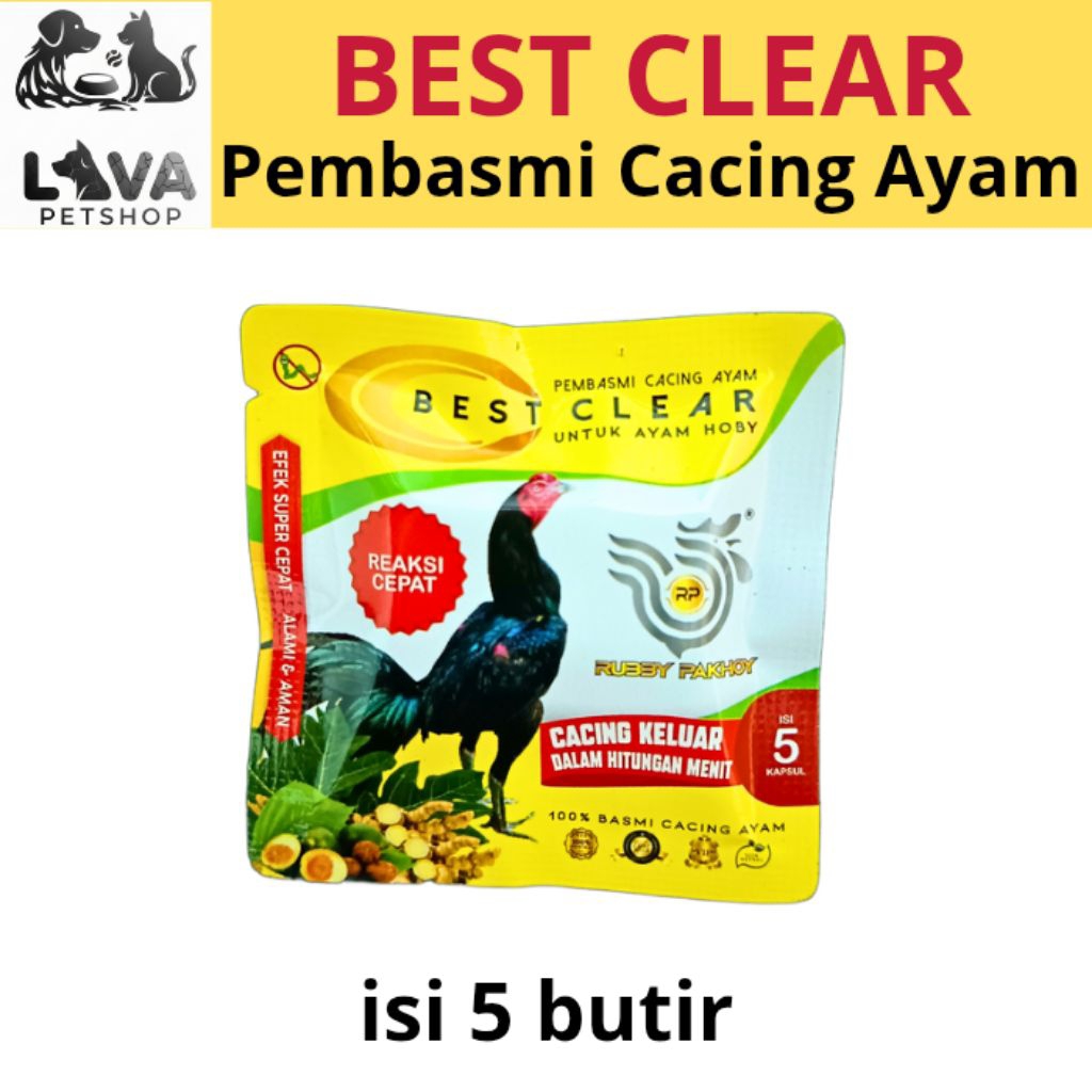 BEST CLEAR Obat Cacing Ayam - Pembasmi Cacing Ayam Paling Ampuh, isi 5 butir