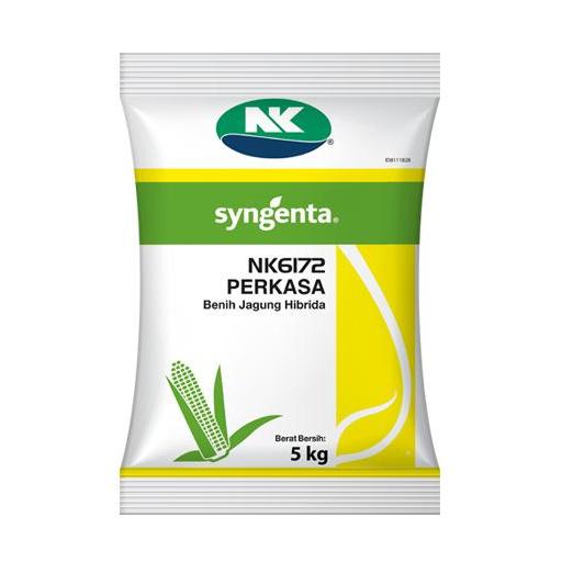 Benih Jagung NK6172 | NK Perkasa
