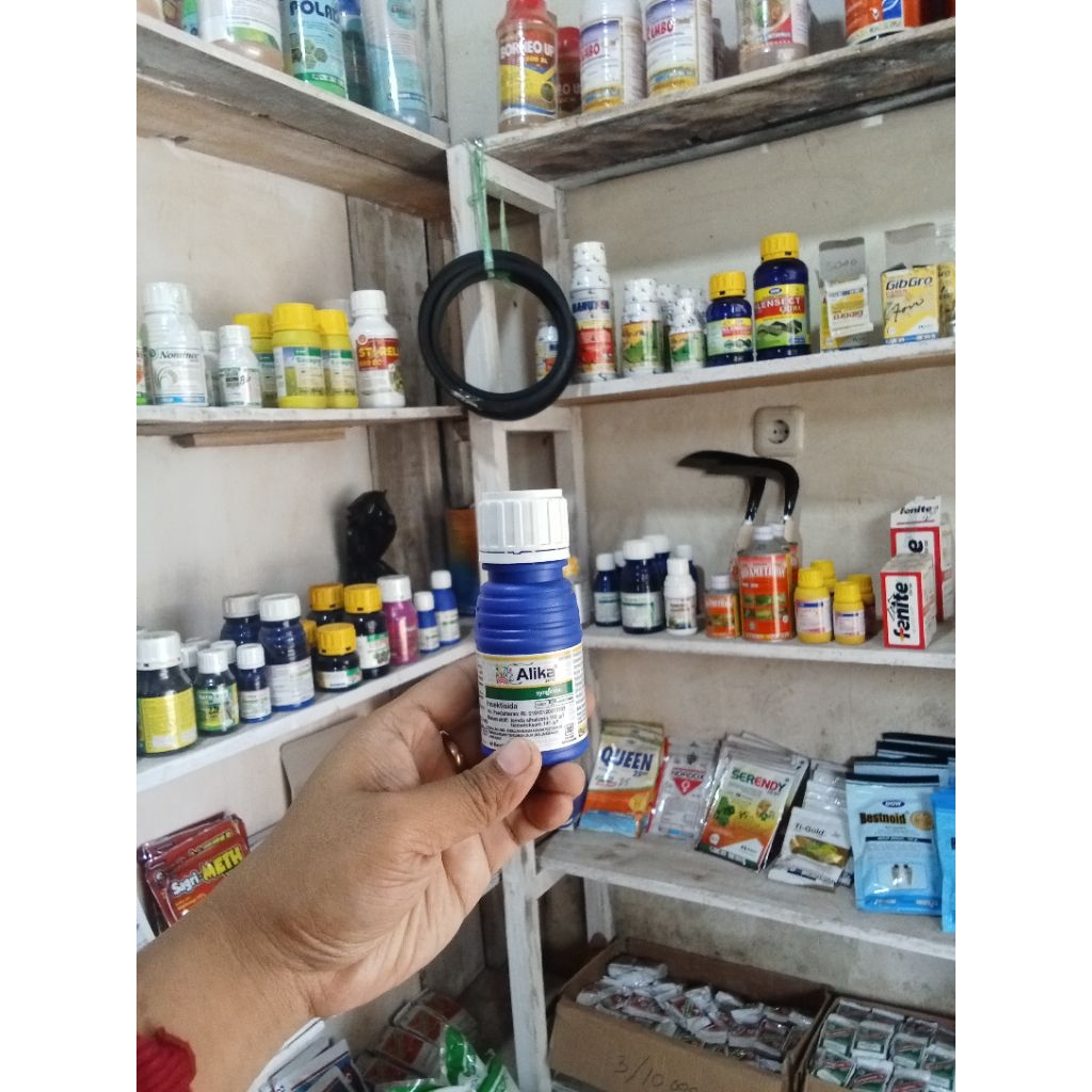 Alika 247 ZC 50 ml