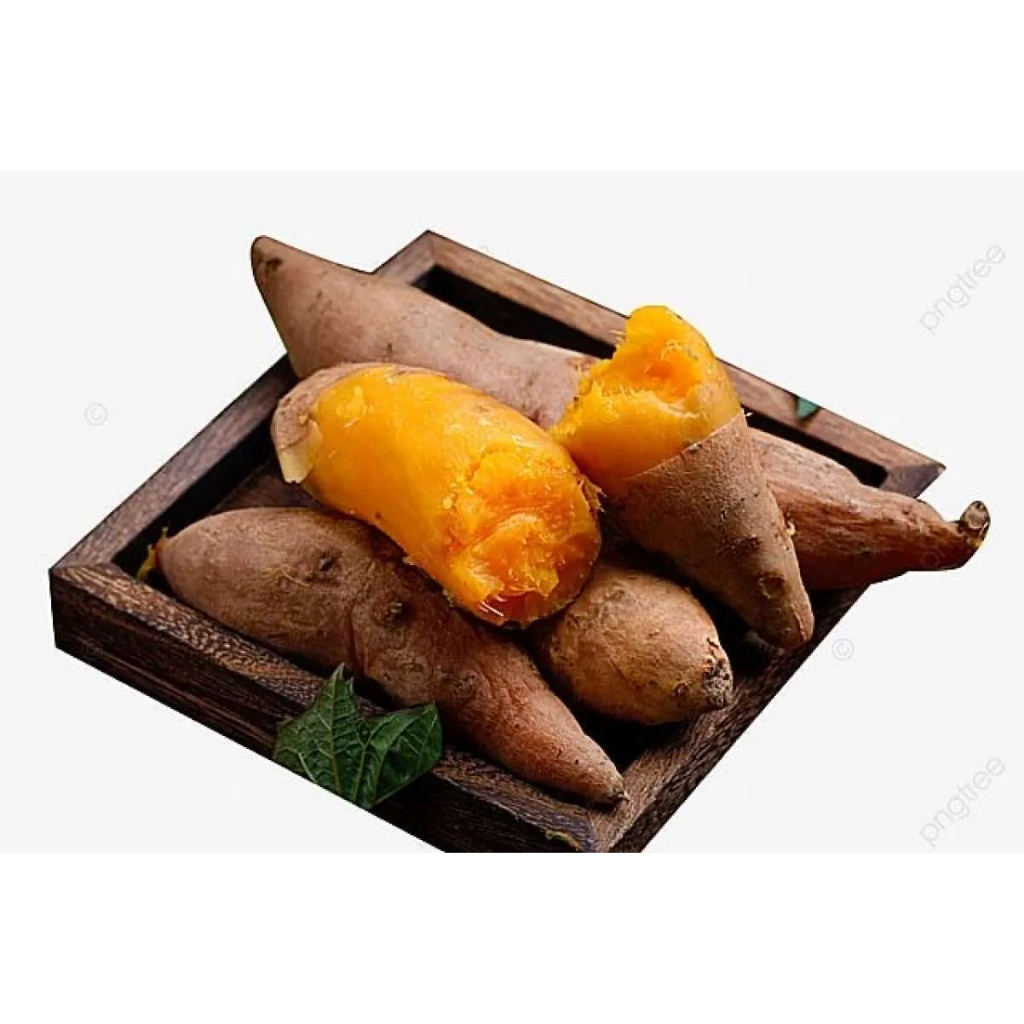 Ubi Jalar Kuning /Ubi Madu Celembu