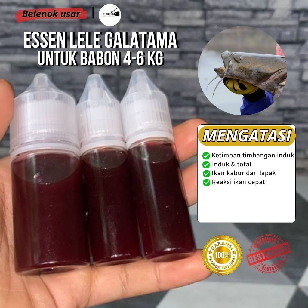 essen ikan semua jenis lele galatama untuk babon 4-5kg aroma belenok usar sereh umpan galatama ikan 
