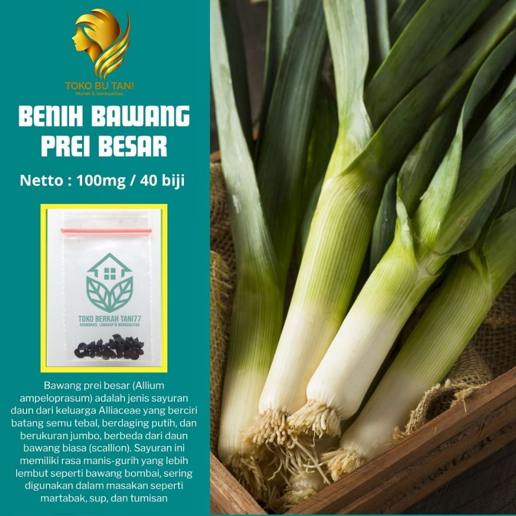 BTN Benih Bawang Prei Besar Benih Bawang Prei Besar Unggul Benih Sayuran Berkualitas