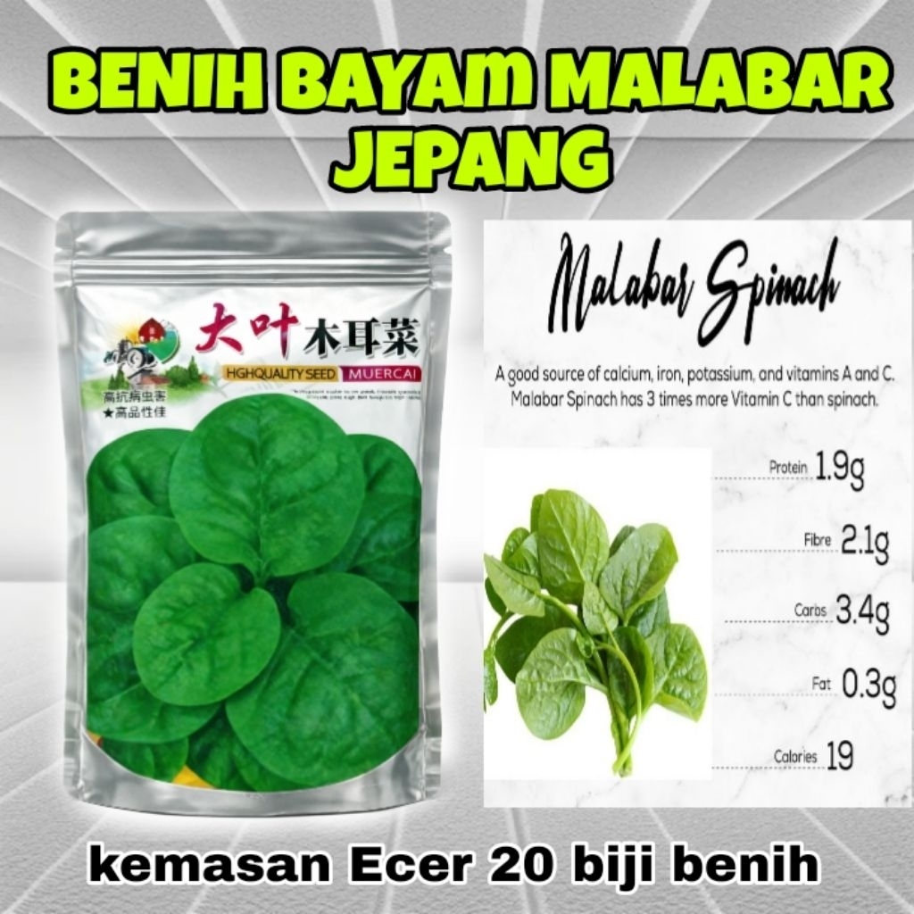 Biji Benih Bayam Malabar Jepang