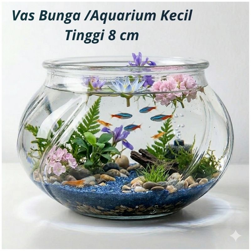 Vas Kaktus Vas Bunga Bulat Aquarium Kecil Wadah Bunga Kering Bulat Kaca bening