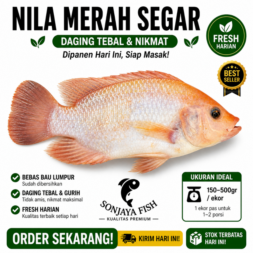 Ikan Nila Merah 1kg Ikan Segar Subang (Maks Order Jam 11 Siang)