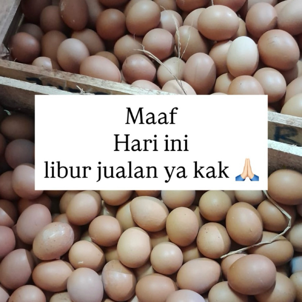 Telur Ayam Negeri isi 1kg Klaten kota | Telur ayam Klaten Jateng | Telur ayam Jawa Tengah