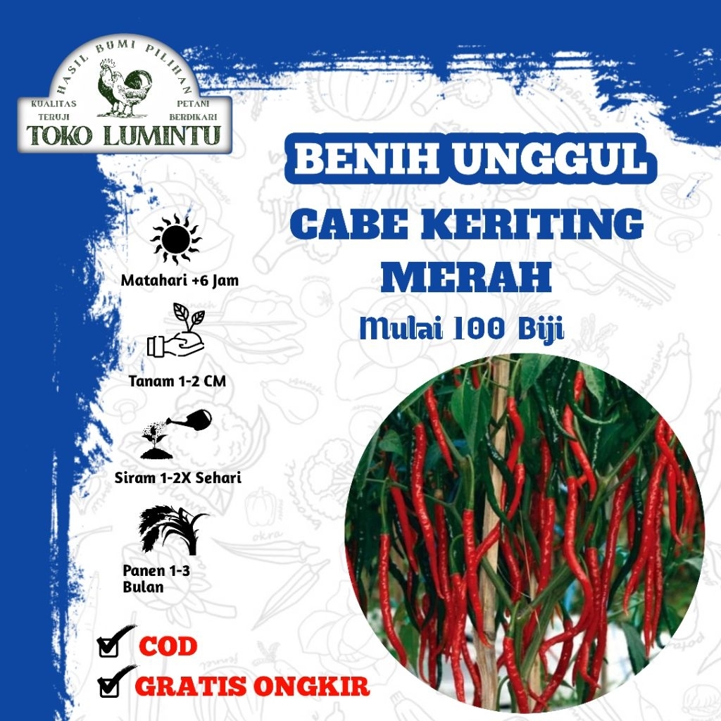 Benih Cabai Keriting Merah Unggul - Bibit Super Lebat & Tahan Virus Gemini