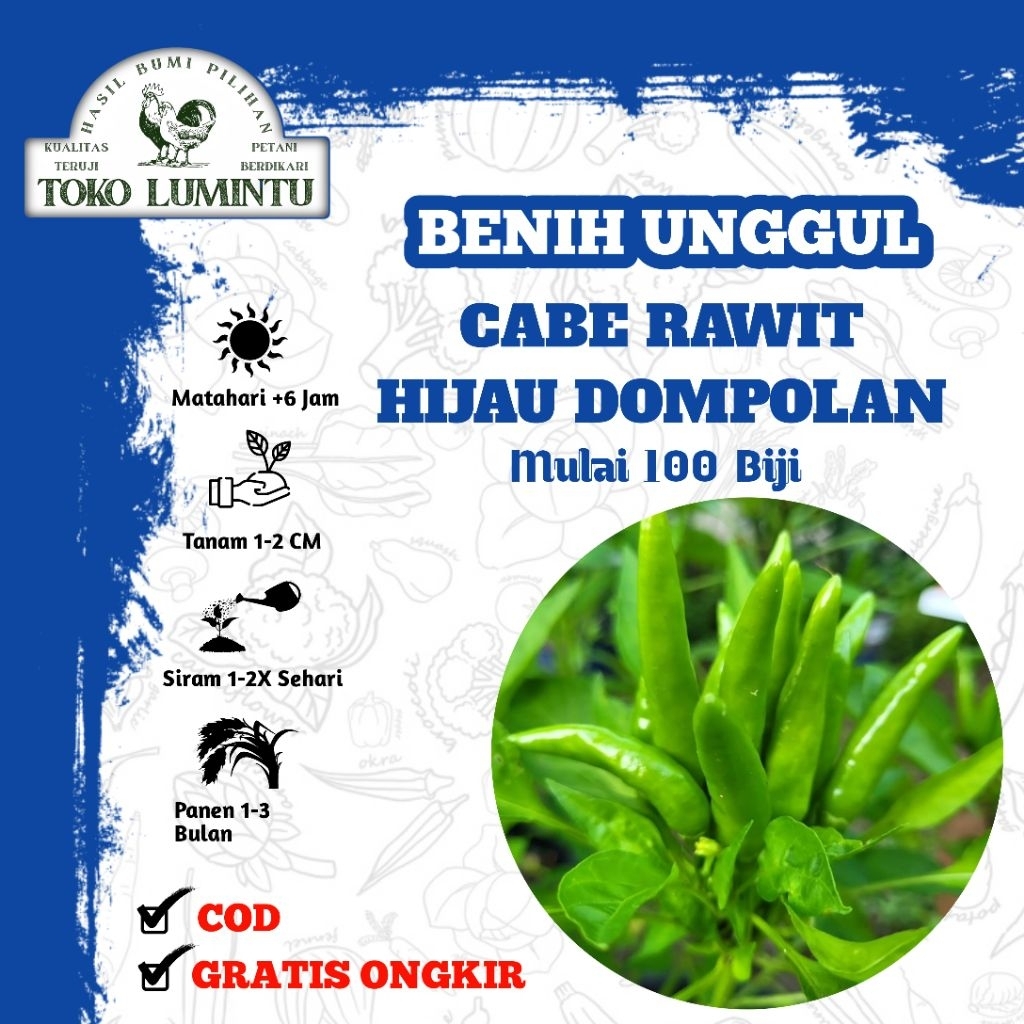 Benih Cabe Rawit Hijau Dompolan - Bibit Cabe Super Lebat Berbuah Gerombol