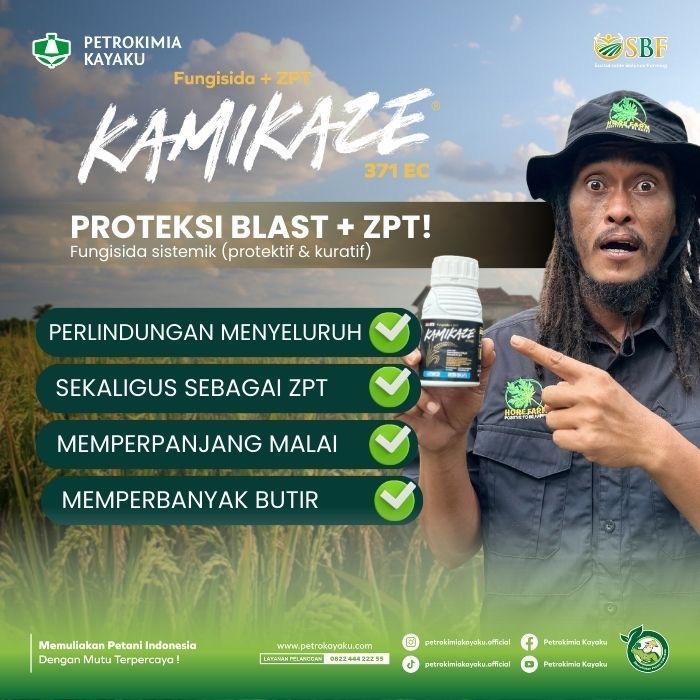 KAMIKAZE 371 EC Fungisida+ZPT