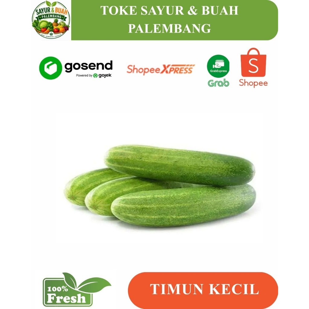 Timun lalap / baby timun segar - Toke sayur palembang