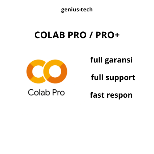 Colab PRO Google