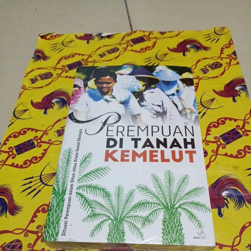 Buku Perempuan Di Tanah kemelut - Situasi perempuan dalam situs situs krisis sosial Ekologis