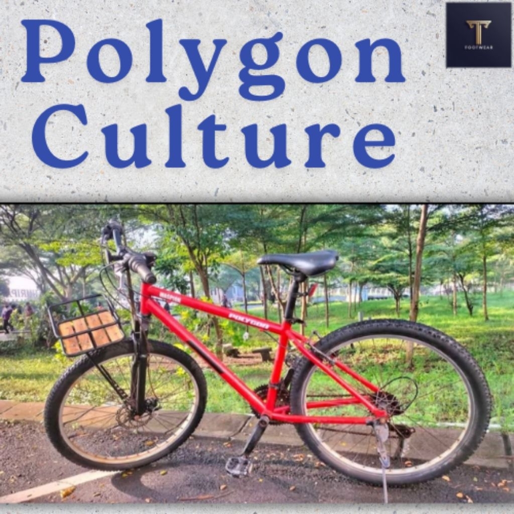 Sepeda MTB Gunung fixie kota Polygon bekas second berkualitas