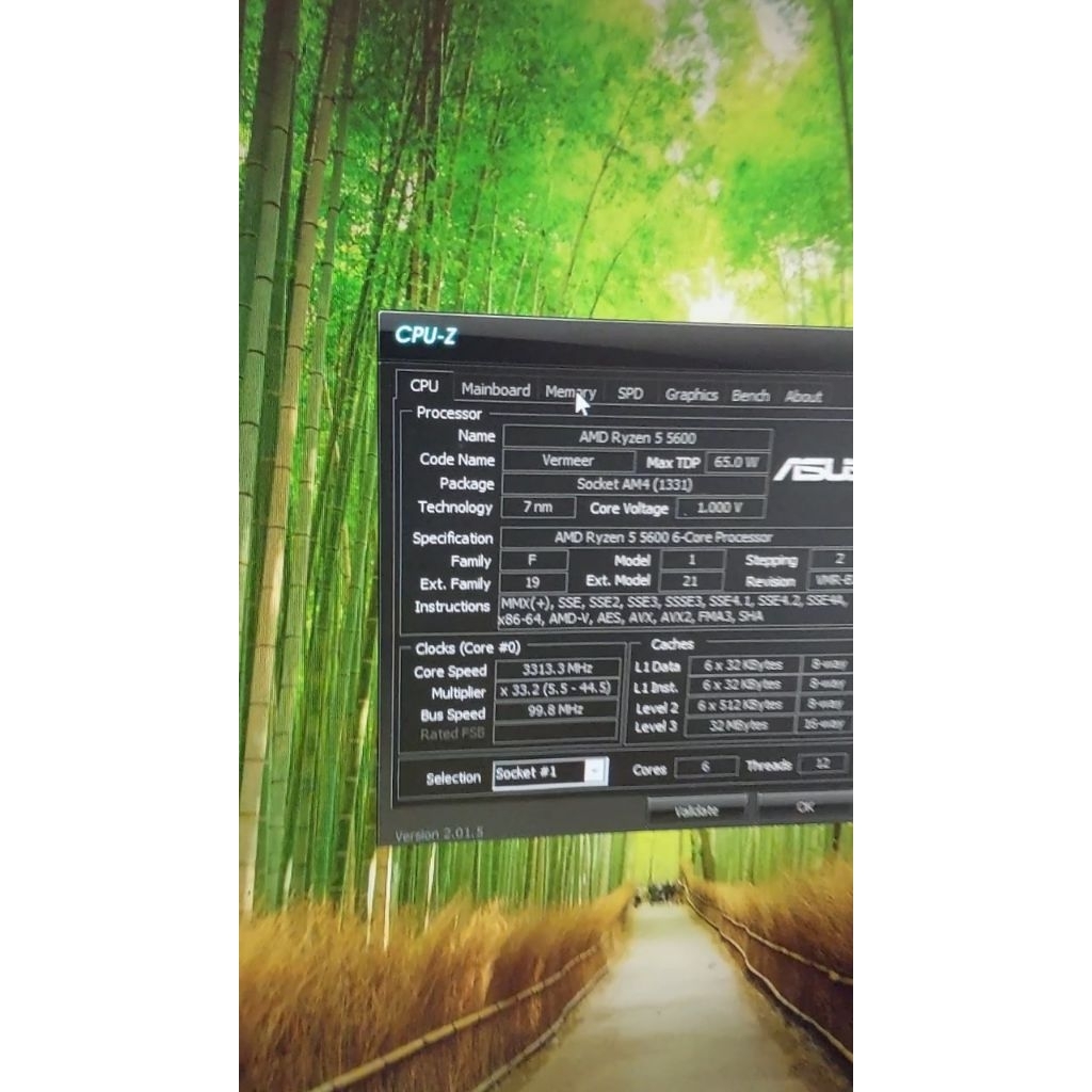 Ryzen 5 5600 AM4 AMD Vermeer CPU Not 5600G