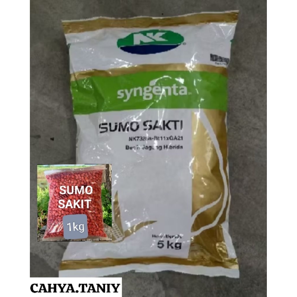 BENIH JAGUNG NK SUMO ECER 1KG ORIGINAL