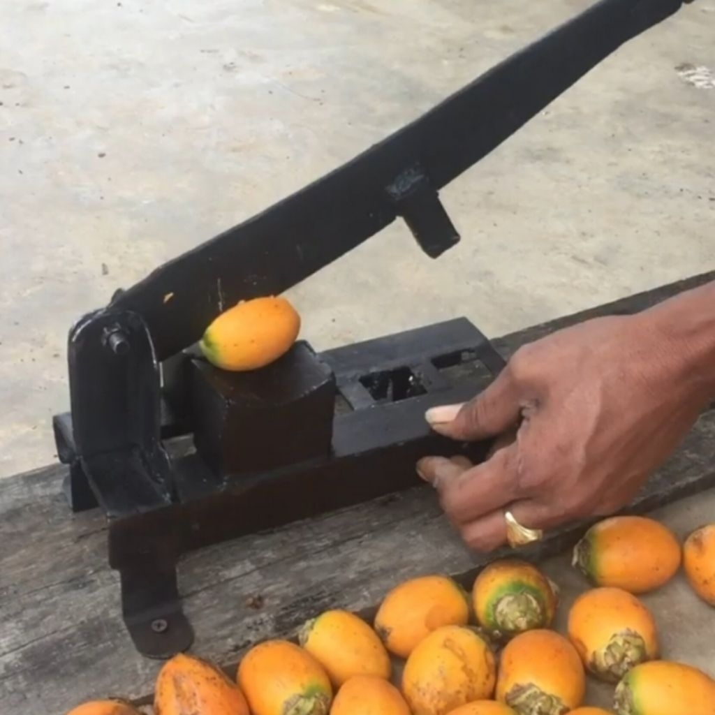 ALAT KUPAS PINANG DAN CUKIL BUAH PINANG