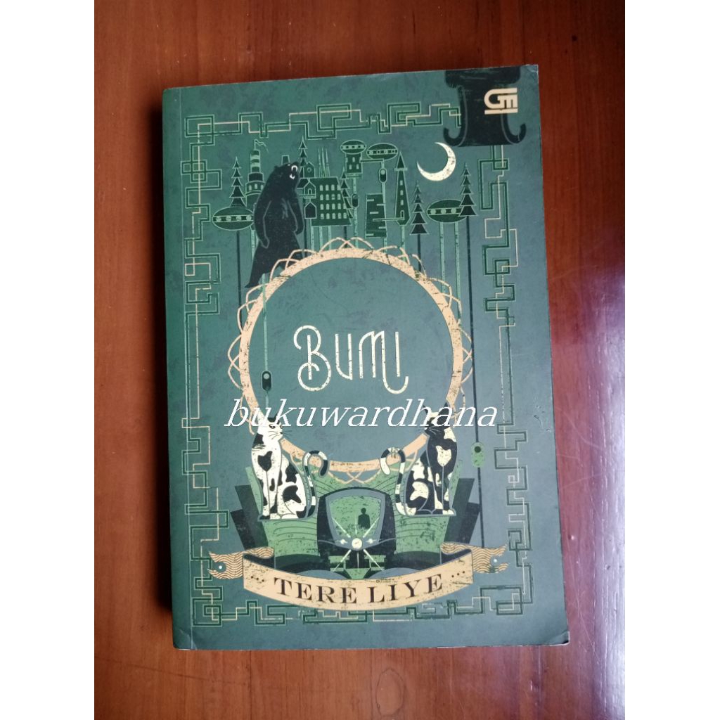 Tere Liye - Bumi (preloved)