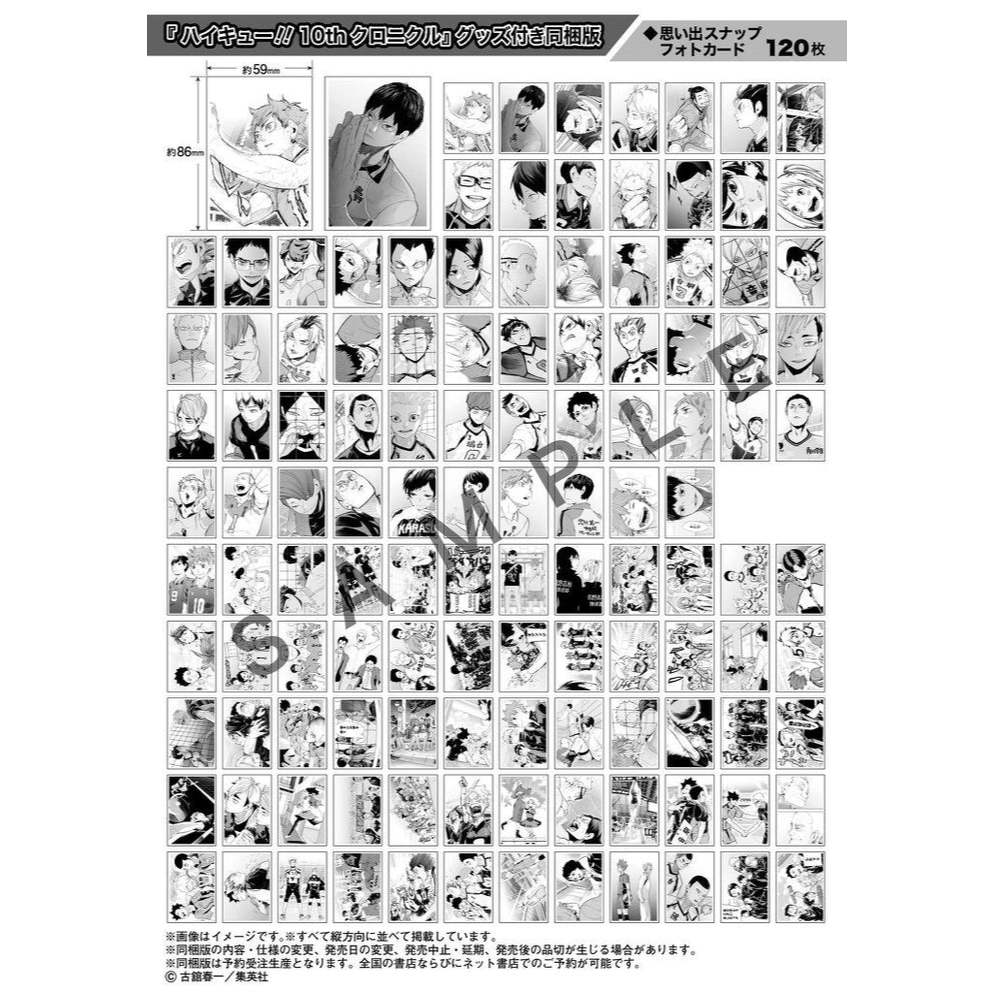 Haikyuu Chronicles Photocard