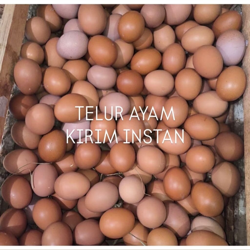 TELUR AYAM 1KG Kirim instan Batu Pujon Malang