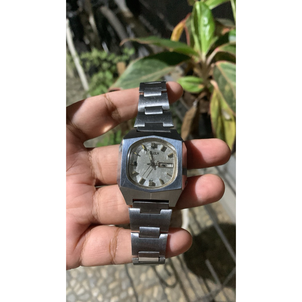 Citizen Panorama Automatic