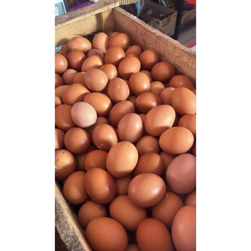 telor ayam 1kg/Telor ayam