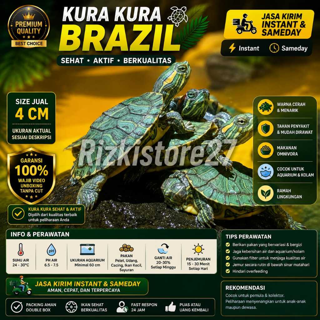 Kura Kura Brazil Baby Size 4 Cm Kura Air Hias Aquarium Kolam